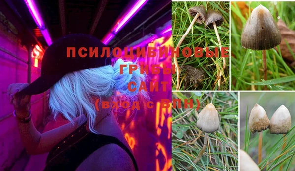 бошки Кукмор