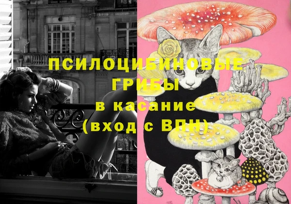 бошки Кукмор