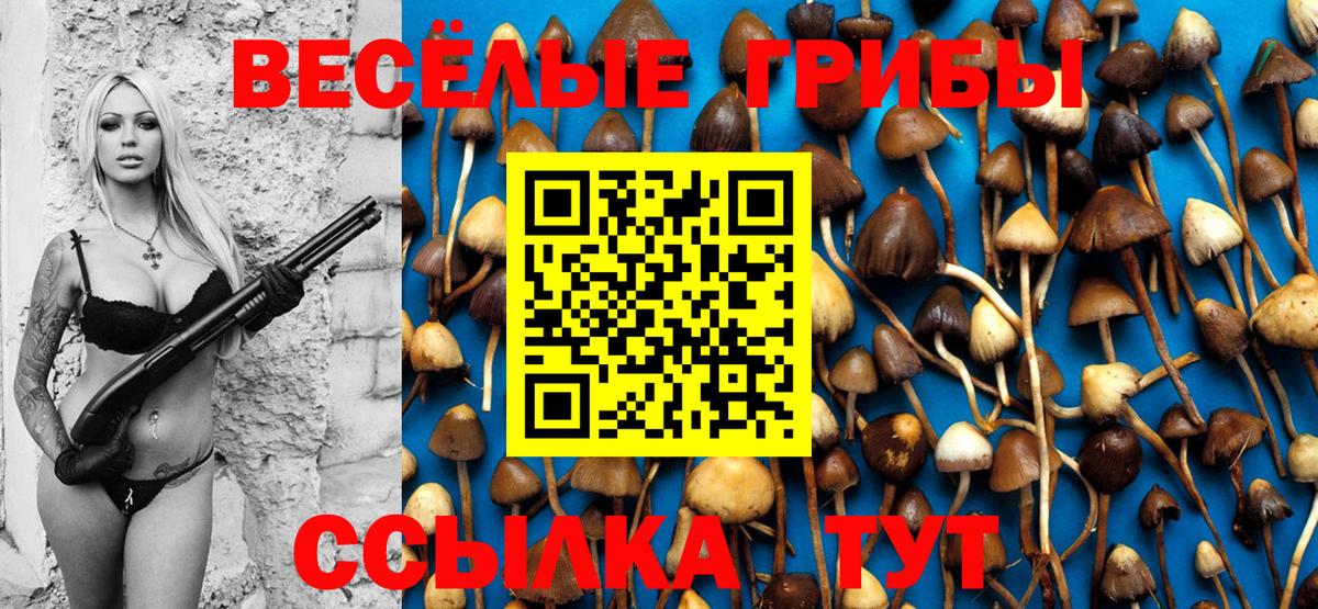 Галлюциногенные грибы MAGIC MUSHROOMS  Псилоцибиновые грибы GOLDEN TEACHER  Вход с VPN  цены   Братск 