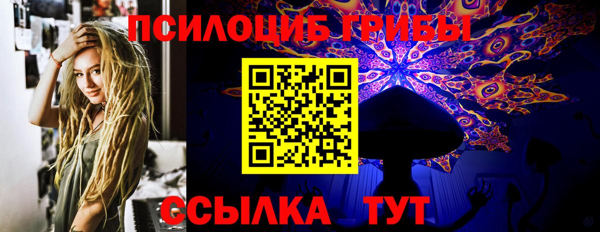 Псилоцибиновые грибы MAGIC MUSHROOMS  Братск  Псилоцибиновые грибы прущие грибы 