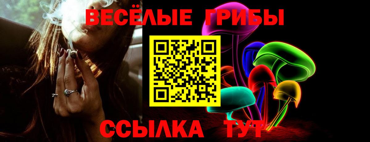 Псилоцибиновые грибы Magic Shrooms Братск
